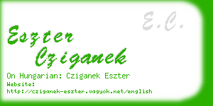 eszter cziganek business card